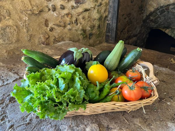 Panier varié pour 4 personnes