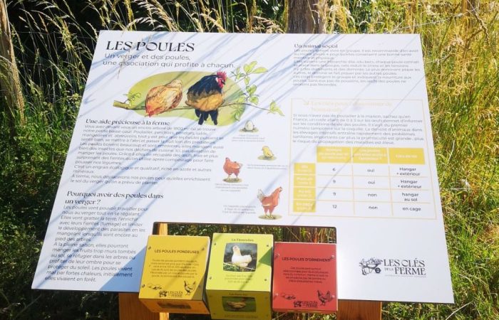 panneau poules
