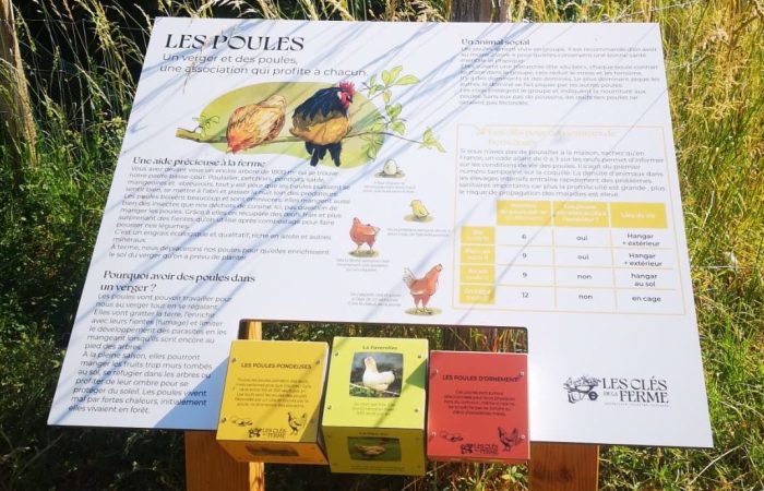 Visites libres